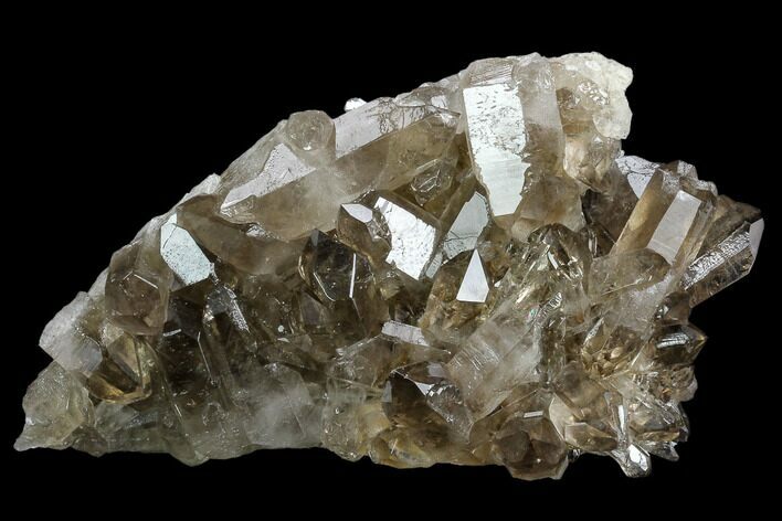 Smoky Quartz Crystal Cluster - Brazil #124580